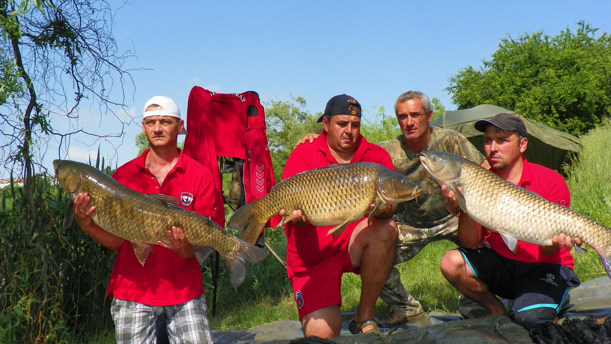 Crapmania (3) - 2011 - 1001718.JPG